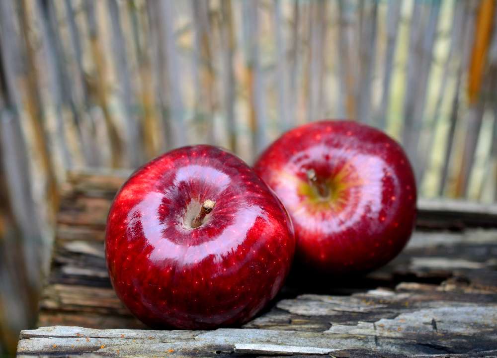 سیب قرمز ایران